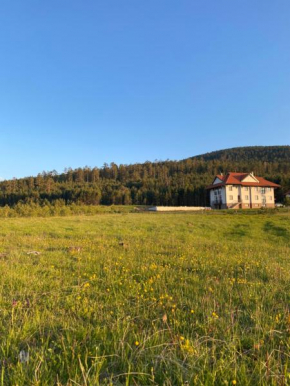 Apartmani Ribnica Tornik